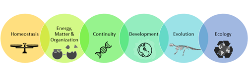 units of study: homeostasis; energy, matter, and organization; continuity; development; evolution; ecology 